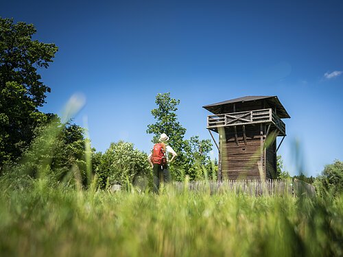 Wanderer mit rotem Rucksack steht auf Wiese vor hölzernem Aussichtsturm bei blauem Himmel